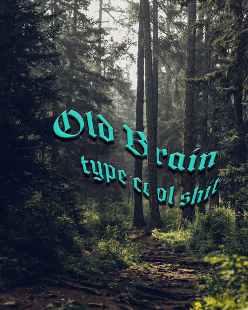 Item #68956660455802920949406474332140117379218782181167192068464389515815885471745 Media