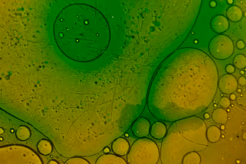 Item #25248765690261585435434482314818899014355955401617162377978101874899300646913 Media