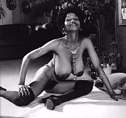 Item #88830804716412543273805018263078437951111841913309395441434977407210853761124 Media