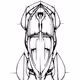 CAR02-EVOLUTION