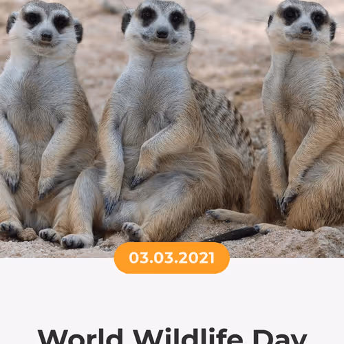 84967509520196306123188380026293221301468344843151761076076916372620349276161