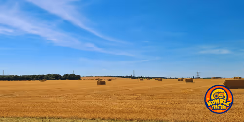 Item #35863194083128256797647772425284652682645032595179500226087347114223828205569 Media