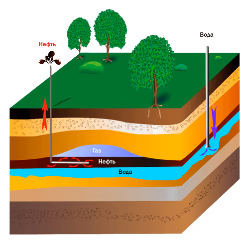 Oil
