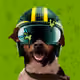 36099553795261404282579238421663119871283840647116495816804462653557098676225