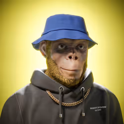 83214294444509809198706963913309694861111785683465698530358550032340540719105