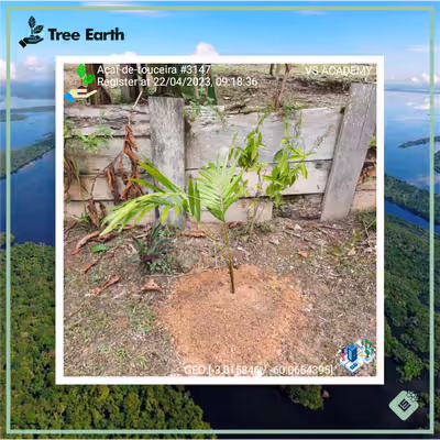 Item #8500196597889277390194123329501889087166328879864934763448349326193127849985 Media