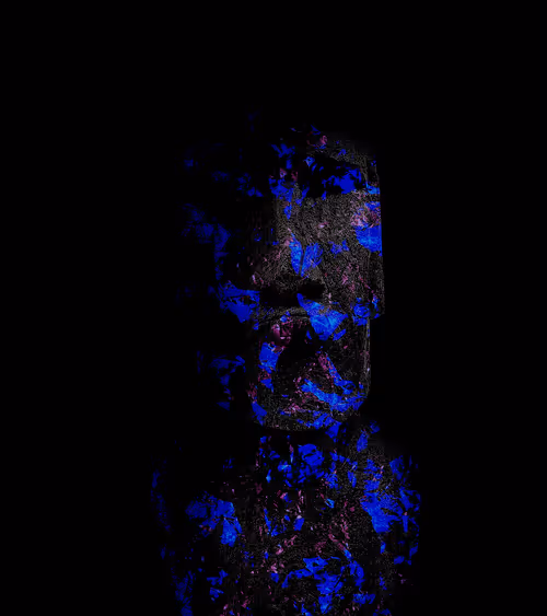 Item #33284642509827638963804114328677612698727850286789687928782083978696968896513 Media