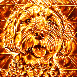 52425573336092519837726043644508007242056972111982820683155420212991587516417