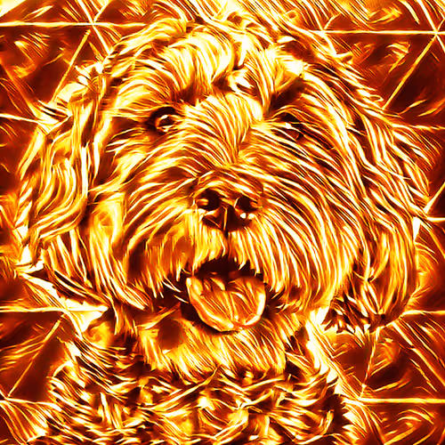 Item #52425573336092519837726043644508007242056972111982820683155420212991587516417 Media