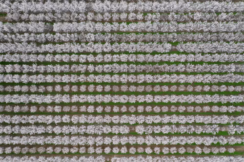 Item #1864235862486587087410937482126233260088053295403624046406936171389208494081 Media