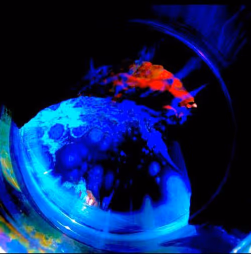 Item #100215834348252495882822669410041435854807957610066919475091088305352869937153 Media