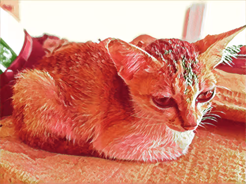 Item #74122138759525378795667626270866148487737655975912799548892276655269403951105 Media