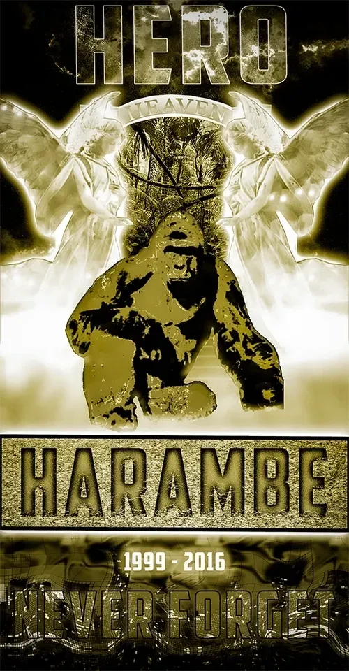 Item #48790520787155310426102062731270564561928034817995506544027698521661581033572 Media