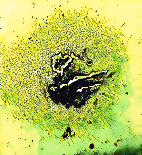 Item #16558374224031309544810590642259060897408029573872384606006677353082080198657 Media