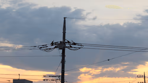 Item #46203775422947331303503035682945161977556730283234746633468375140665191825409 Media