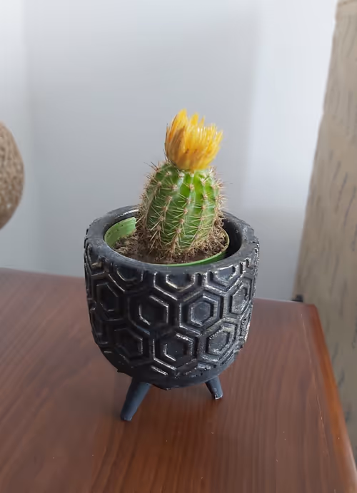 Item #106597562129877688518074183313556473389448438799940443127829440809047546658817 Media