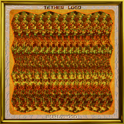 57978213785605984364671172363505097311712756167060483555139817520454327861249