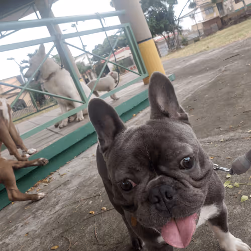 Item #32237202173720727343948986965561335091197107318394763909165930961615701671937 Media