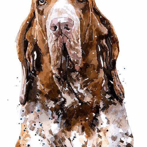 Item #15308155937593783866228062712704217529335676444312394672786838643612646899717 Media