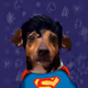 36099553795261404282579238421663119871283840647116495816804462685442935881729