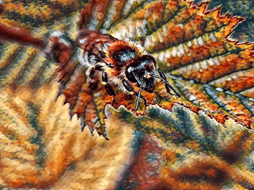 Item #101599579626109009666607068920778550362968334718480795982881728496854292758529 Media