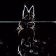 88084387355681969992942374483004213542752585850628601390606515668058627899492