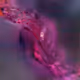 87711060057469433385020065673746381745940343963397288749235662392582488457217