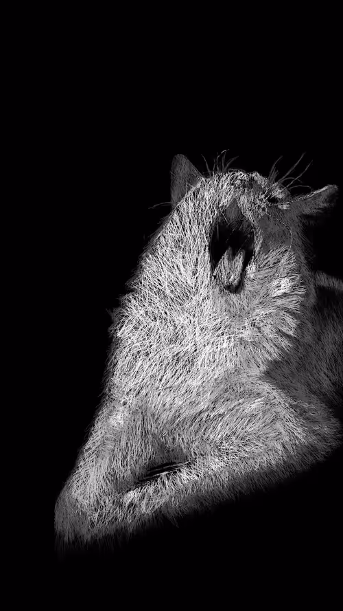 Item #20286817641922993541065929101952433978531825078991625494647867603093473460225 Media