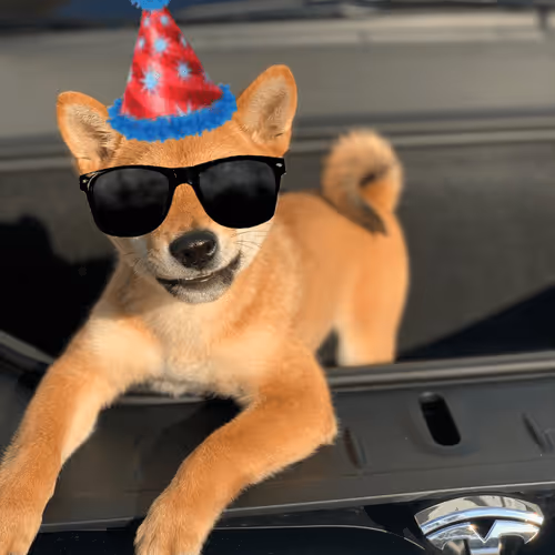 Item #12482093472768592147298085303644852702498619296241180501750779780085881765889 Media