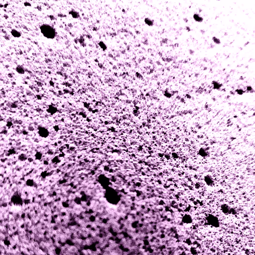 Item #67243393418760276733295858013585987485068367125723262014265842173715754778625 Media