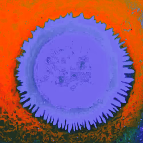 Item #4784811104091394596433299599418734801546949172415580233613544132390422577153 Media