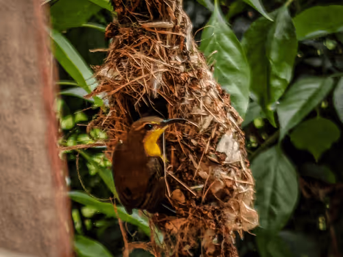 Item #11855528284572483139354947567279580834221124844133480481305836410627982098433 Media