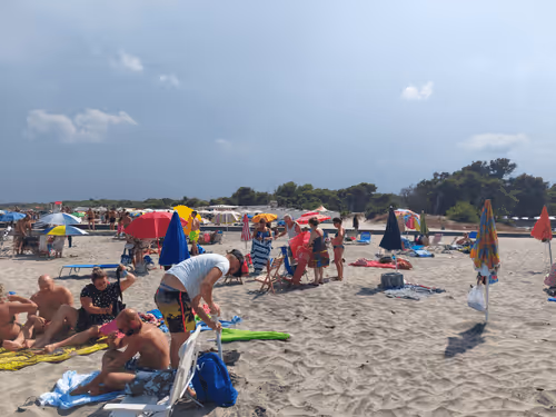 Item #43505702085321246701285015339688837487321998718285252344027785167738484293633 Media