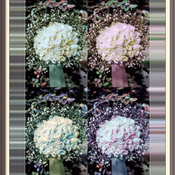 108065665434435766760522700651324844344204555372000129092130960138735838035978