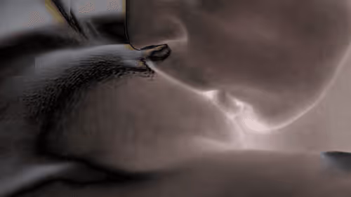 Item #93657854217135455601810941642078618975086550822534702161347396379276881166337 Media