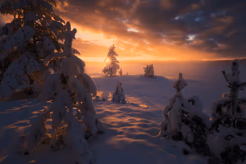 Item #96581077355438815098839991825512832741865857060493476294166675722671969271809 Media