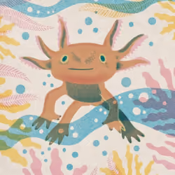 Axolotl #012