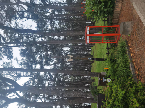 Untitled Collection #74355661