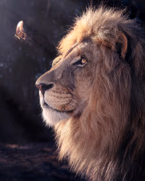 Item #113521178305738834012148518391550550346987699669126125358931063138114634514932 Media