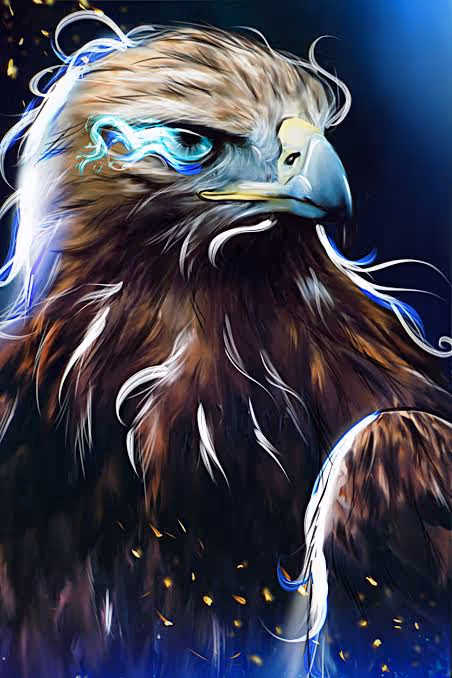 Item #28481952964956019797930714646408320010542211817018854323341716714827022336001 Media