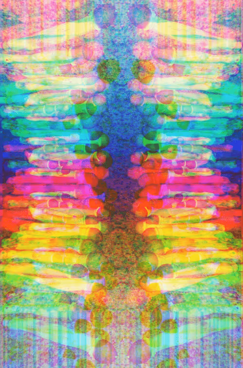 Item #229903202399770629281150266274287852530355796343641318577665233470869209188 Media