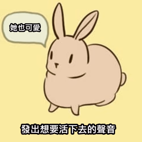 memeRabbit#1