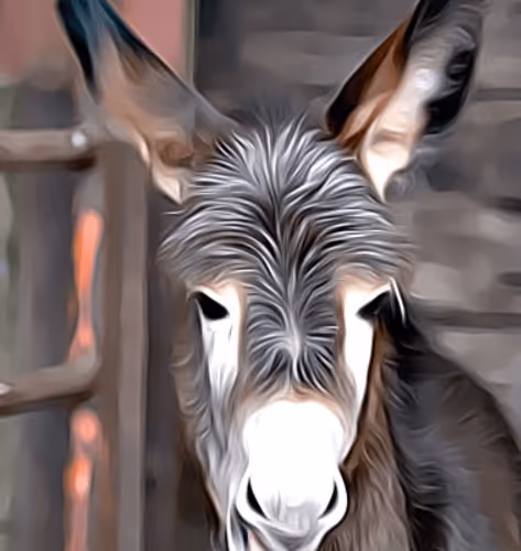 111010492562953447125861228621510938801220614813964298132303513211576973787141