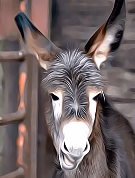 Item #111010492562953447125861228621510938801220614813964298132303513211576973787141 Media