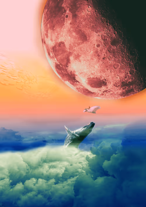 Item #21267337773250250354361788919637249406100551018658025305045552069932834881537 Media