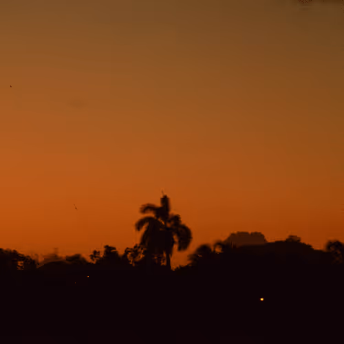 Item #95616451613255135559537494756846986786398325909633623186552519308823360438273 Media