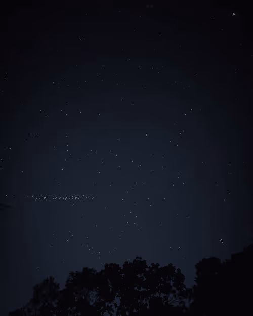 Item #96373460507912281939903112807065392587728079623754575039603803301443411116033 Media