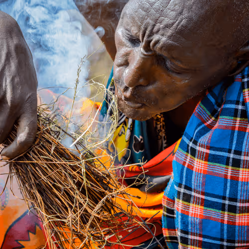 Item #53522521938441215349800286733900405640011511301538766968648782509179538505729 Media