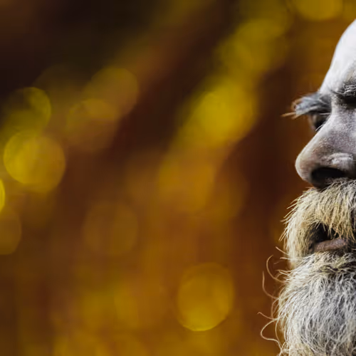 Item #24784017408577437067961436992282274626634637275708277583645051721059949084673 Media