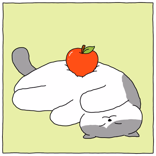 15302859459632651695822778924127903147844110046638069430744885212462861778945